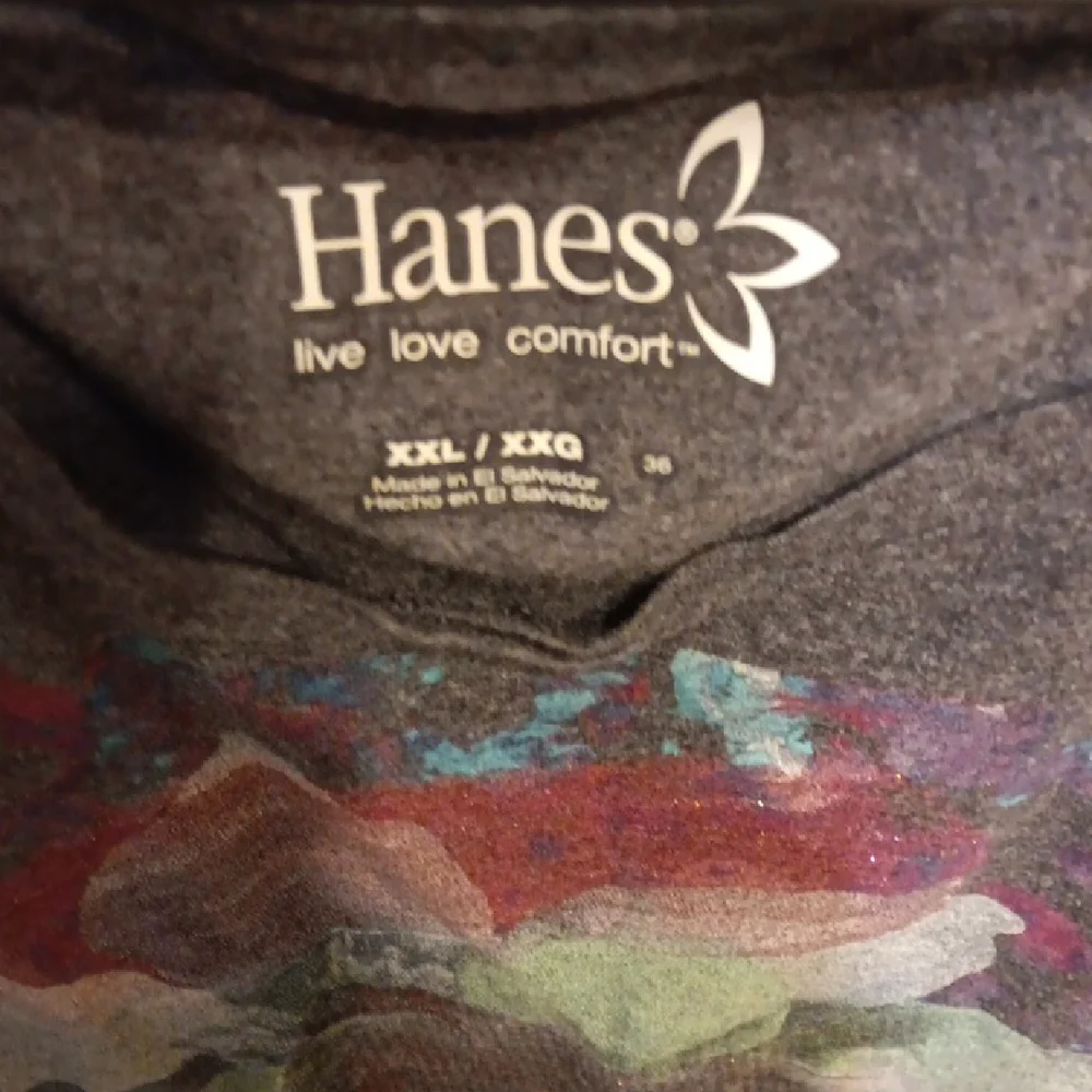 Hanes Dark Gray T-Shirt with Colorful Abstract Design - Picture 2 of 5
